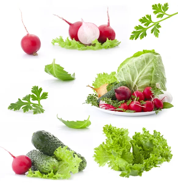 Collection of fresh vegetables — 图库照片